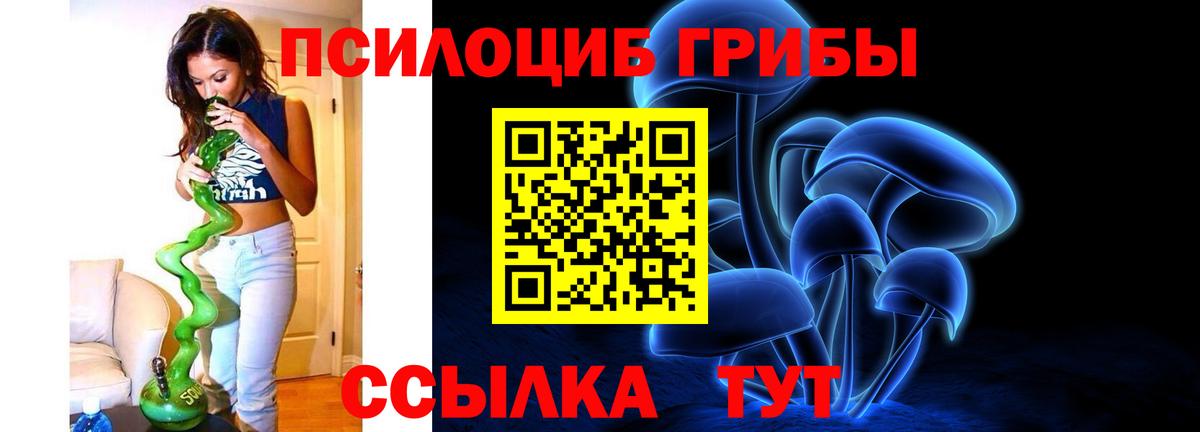 Псилоцибиновые грибы GOLDEN TEACHER  Галлюциногенные грибы мухоморы  Вход с VPN  Шебекино 